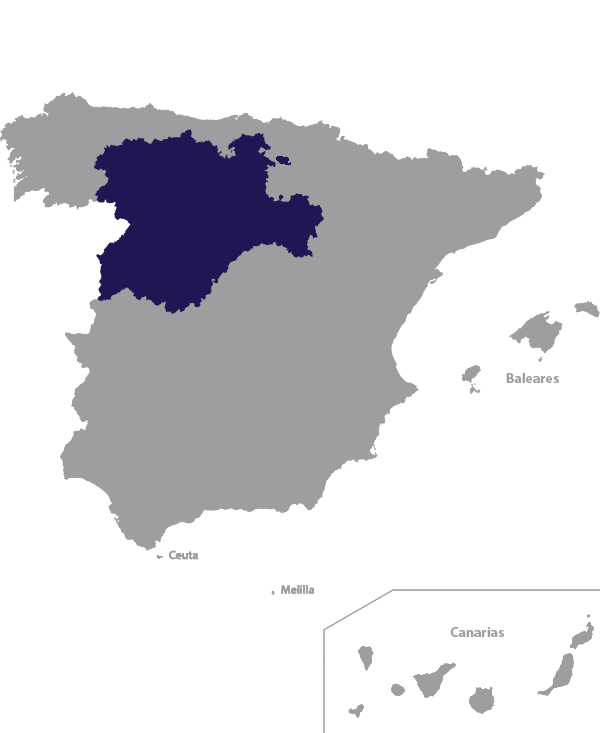 Landkaart Spanje grijs met regio Castilië en León donkerblauw op transparante achtergrond - 600 * 733 pixels